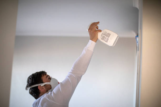 Best Toxic Mold Removal  in West Bradenton, FL