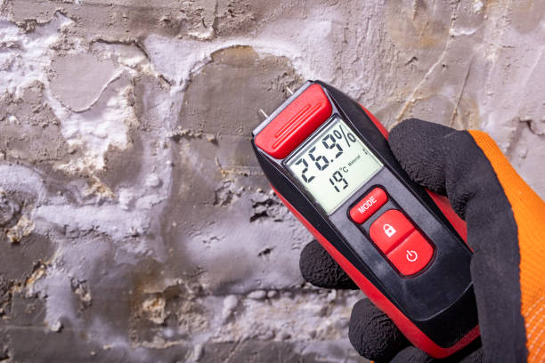 Best Mold Removal and Inspection  in West Bradenton, FL