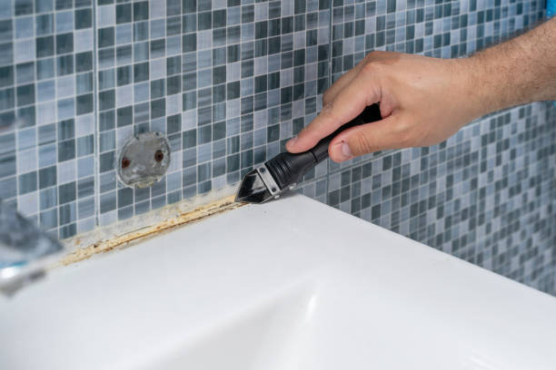Best Local Mold Removal Service  in West Bradenton, FL